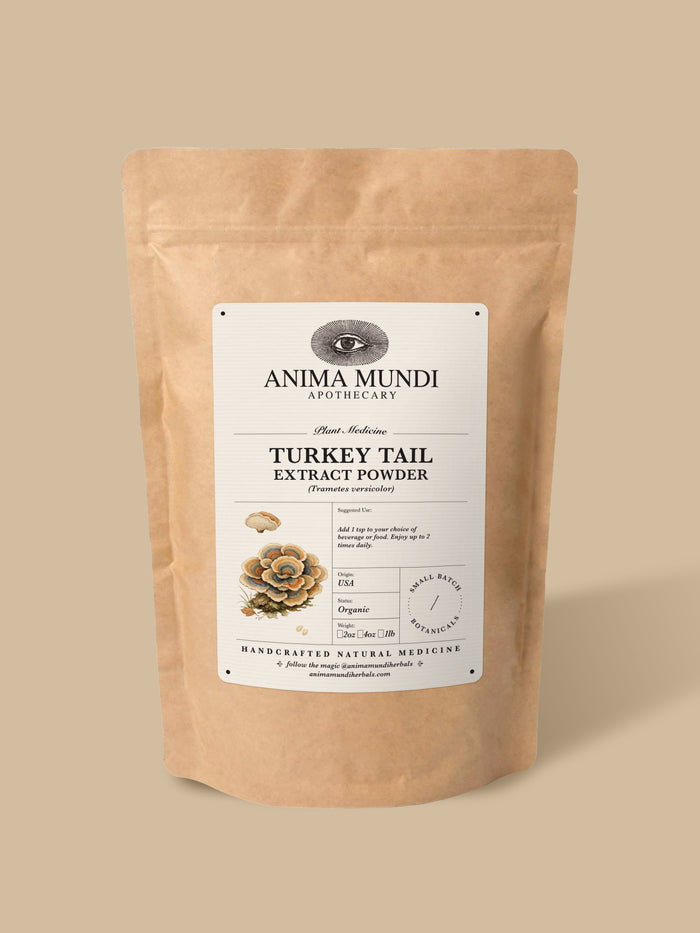 A stand-up kraft paper pouch of Anima Mundi Apothecary Turkey Tail Extract Powder, featuring a white label with black text and a small illustration of a turkey tail mushroom, set against a solid beige background.